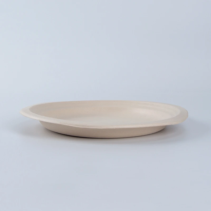 Byakozwe Bagasse Yambere Yisahani Kamere 100%